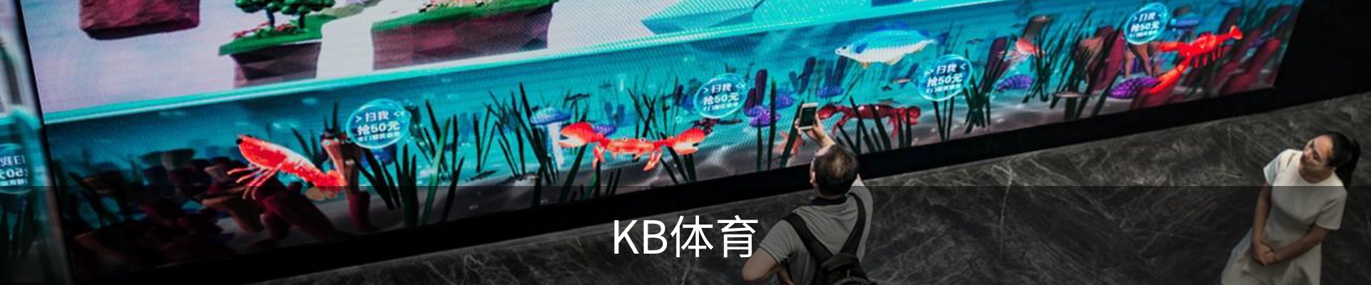 KB体育